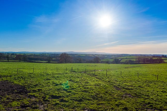 Higher Cheldon Cross, Chulmleigh photo 2