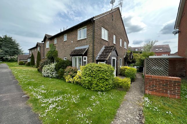 Thumbnail Detached house for sale in London Road, Holybourne, Alton, Hampshire