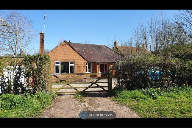 Thumbnail Bungalow to rent in Fiskerton Road, Southwell