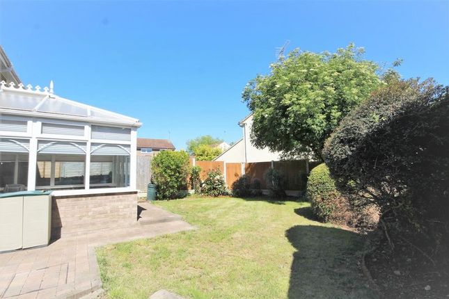 41, Rowhedge, Hutton photo 3