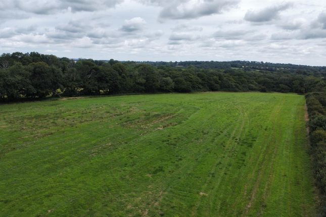 Dji_Fly_20250716_120744_464_1752664101052_Photo_Op