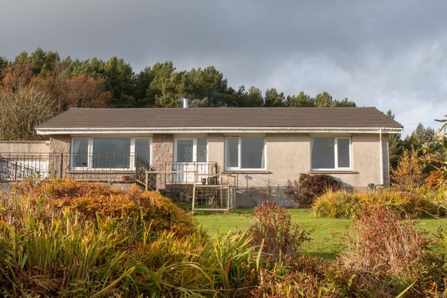 Homes For Sale In Golspie Buy Property In Golspie Primelocation