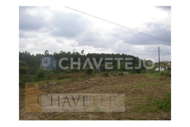 Land for sale in Olalhas, Tomar, Santarém