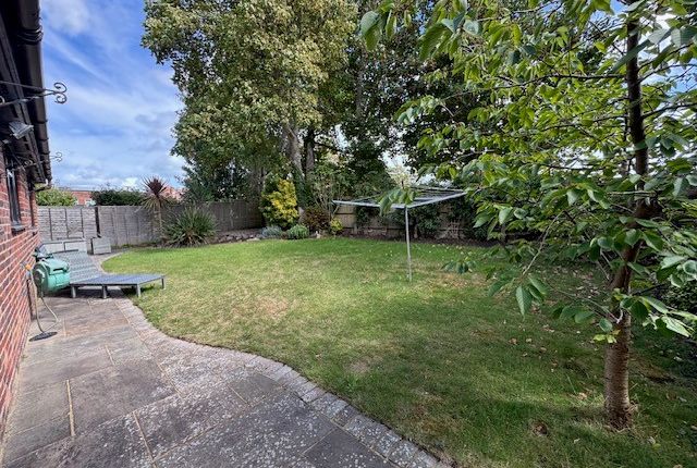 29, Eastbourne photo 3