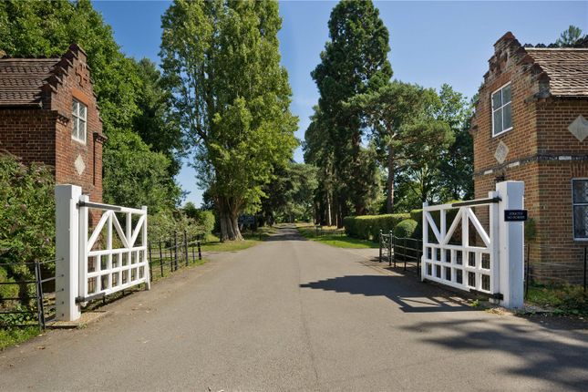 Thumbnail Detached house for sale in Sutton Park, Sutton Green, Guildford, Surrey
