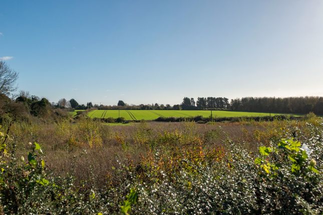 20 Walnut Tree Ground, Fyfield, Andover photo 3