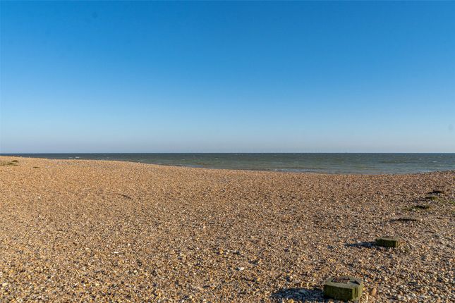 Beach Hut 1b,, The Strand, Worthing photo 3