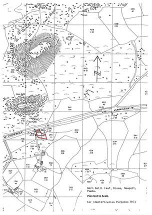 Plan Not To Scale.Jpg