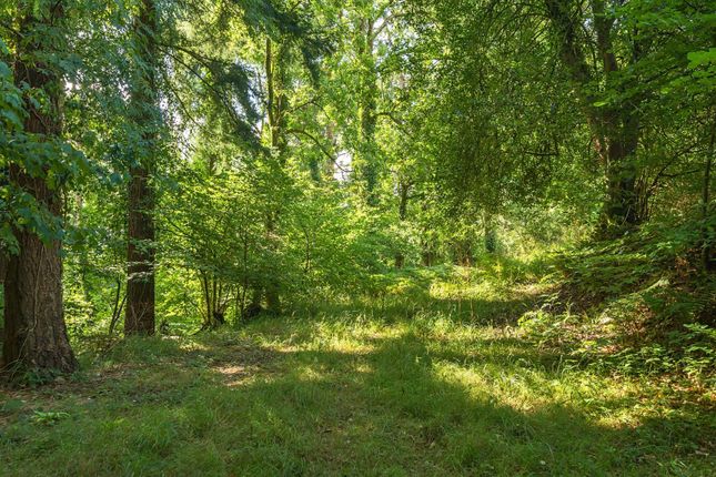 Heathcote Wood, Road From Quoit-At-Cross To Hatherland Cross, Tiverton photo 2