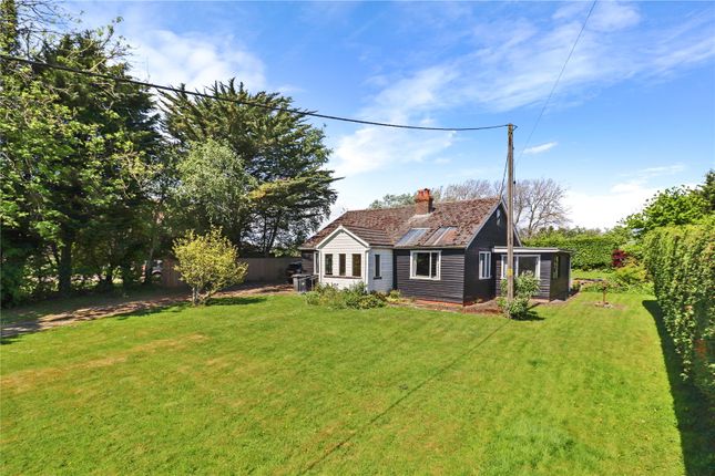 Thumbnail Bungalow for sale in Lower Dicker, Hailsham, East Sussex