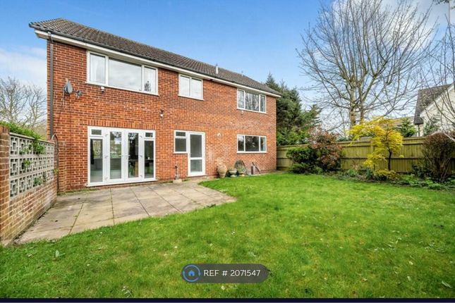 Detached house to rent in Lowfield Road, Reading