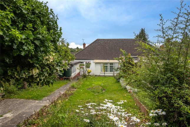 Thumbnail Bungalow for sale in Crawley Green Road, Luton, Bedfordshire