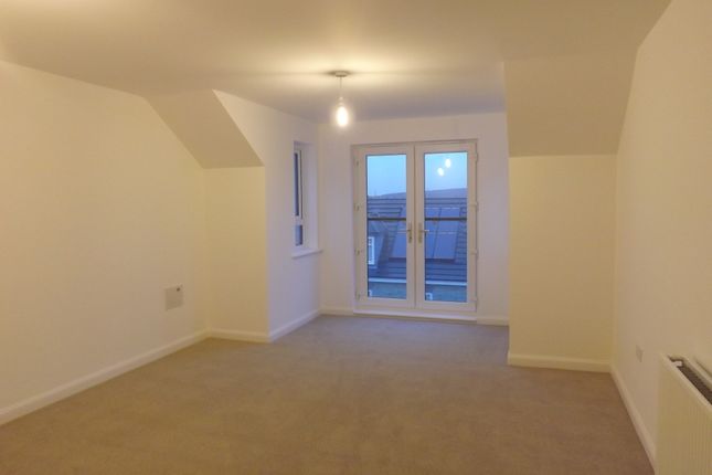 16, Rotherham photo 2