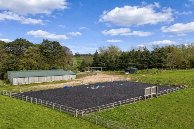 Lodge Farm, Fanshawe Lane, Henbury photo 4