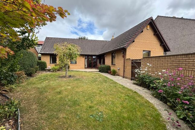 Bungalow