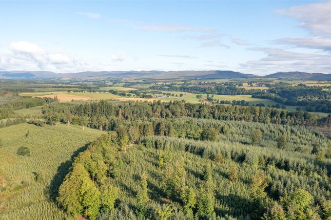 Thumbnail Land for sale in Drumbuich &amp; Barselton Woods, Methven, Perthshire