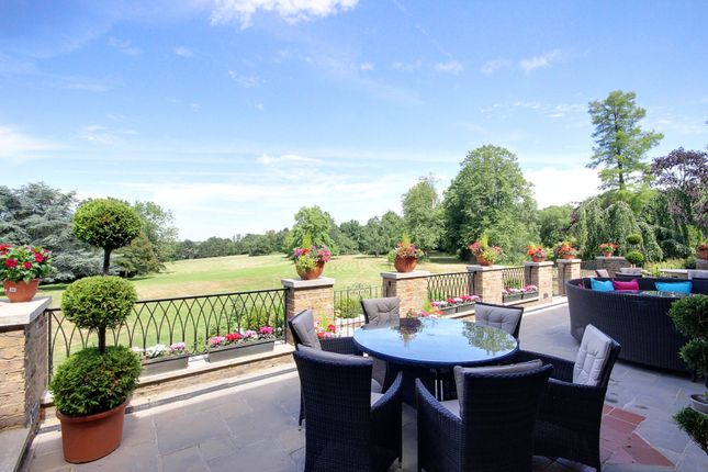 Terrace2