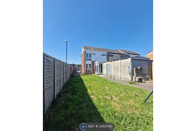 Back Garden