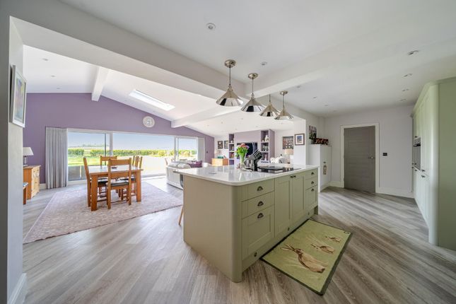 Sapele Lodge, Tockwith Road, York photo 4