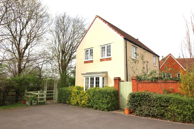 Thumbnail Property for sale in Badger Road, Thornbury, Bristol