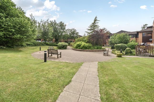 Communal Garden