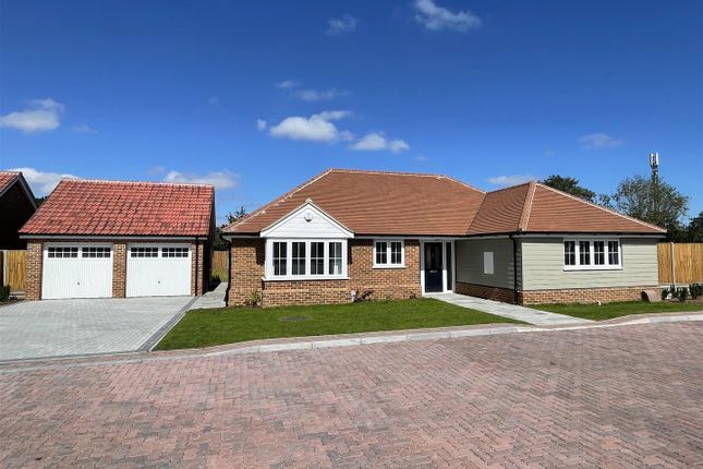 Thumbnail Detached bungalow for sale in Harwich Road, Ardleigh, Colchester