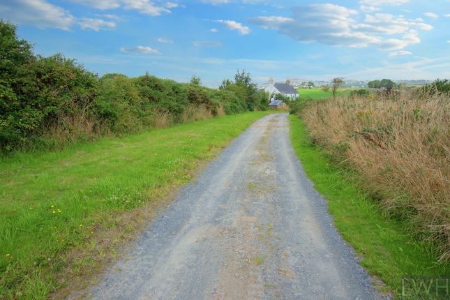 Farmhouse off Lon Engan, Pwllheli photo 4