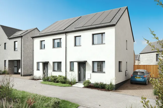 Pobl Living - Gwynfaen