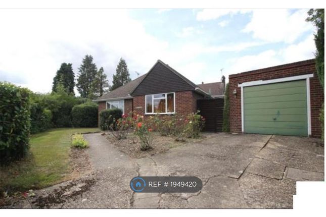 Thumbnail Bungalow to rent in Hilbury Road, Earley, Reading