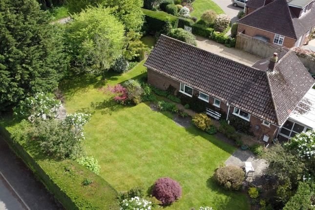 Thumbnail Detached bungalow for sale in East Lane, West Horsley