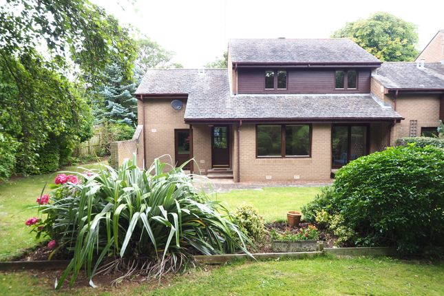 Thumbnail Link-detached house to rent in Springfield Crescent, North Berwick