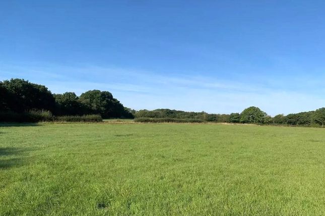 Land for sale in Exbourne, Okehampton, Devon