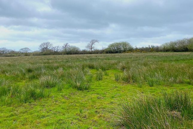 Land for sale in Ponthirwaun, Cardigan