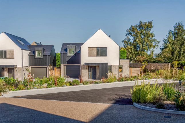 Sandpiper Close-5.Jpg