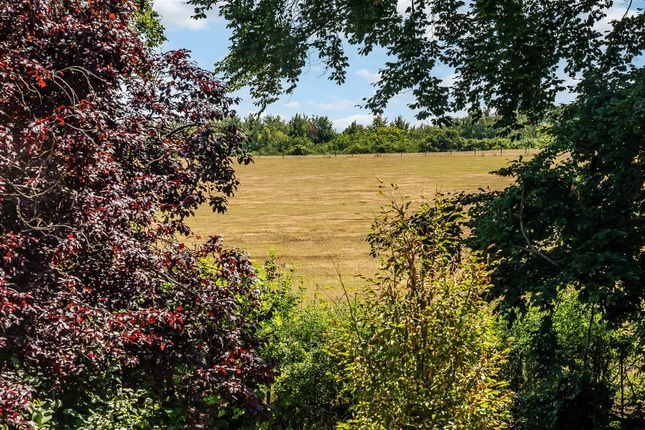 Hedgerow, Leatherhead Road, Great Bookham photo 4
