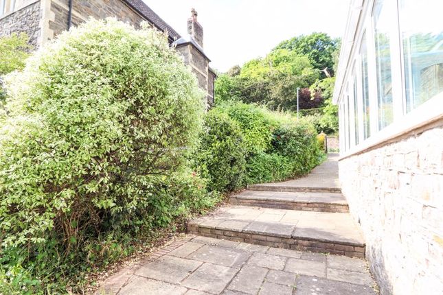 Side Garden