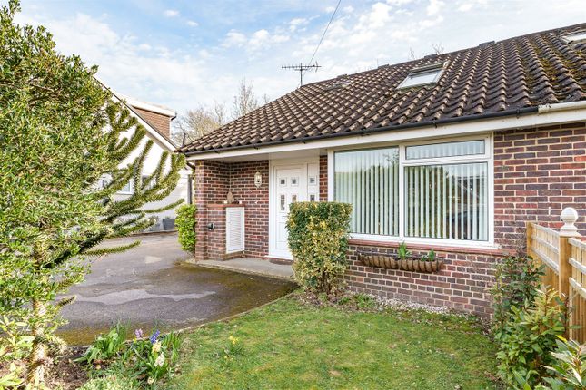 Thumbnail Semi-detached bungalow to rent in 5 Beech Grove, Midhurst, West Sussex