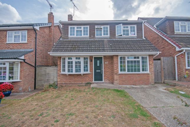 47, Petersfield, Chelmsford photo 2