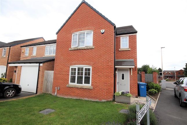 Thumbnail Detached house to rent in Stirrup Close, Leigh