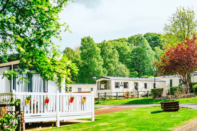 Heather View Holiday Park, Heather View, Bishop Auckland photo 5