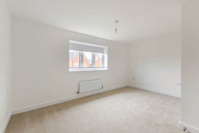 1 curlew close - Beech, Leaf Living at The Gateway, Bexhill, TN40, Bexhill-On-Sea photo 3