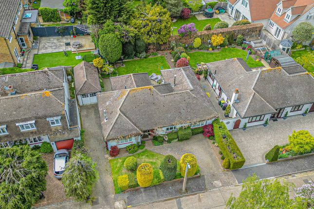 Thumbnail Detached bungalow for sale in Ruffles Close, Rayleigh