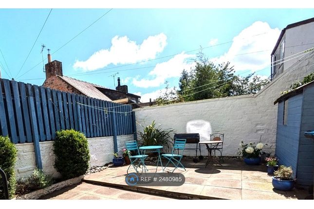 Sunny Yard With Bike Shed