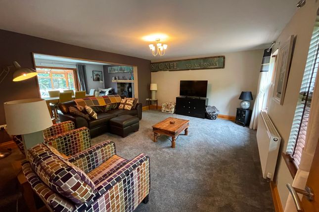 19 Pontardawe Road, Swansea photo 3