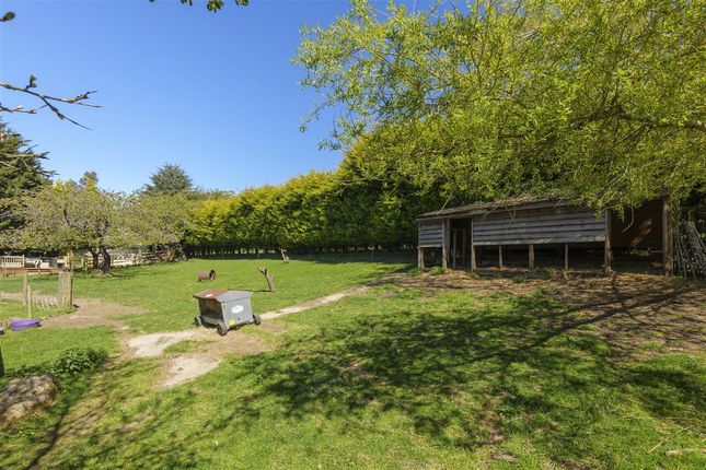 Inglenook Cottage, Boughton-under-Blean photo 4