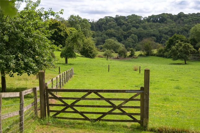 Paddocks