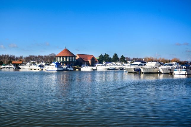 Burton-Waters