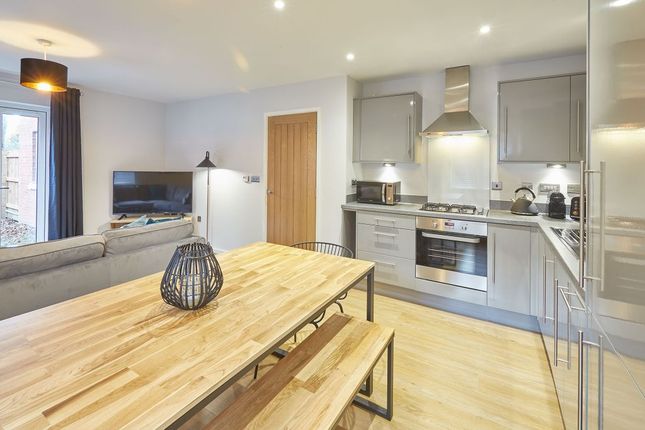 Shell House, 5 Spa Well Court, Whitby photo 3