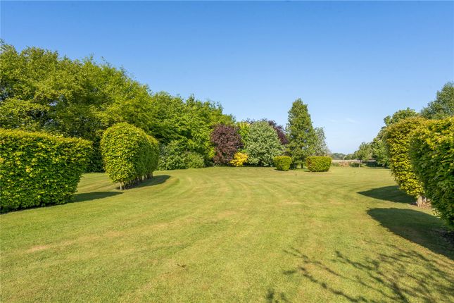 Wider Gardens