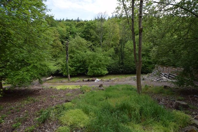 Thumbnail Land for sale in Opposite Bushy Leaze Wood, Beech, Alton, Hampshire